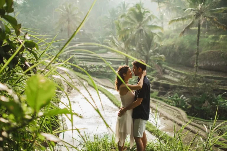 Compare Honeymoon Packages Plans: The Definitive Analytical Guide